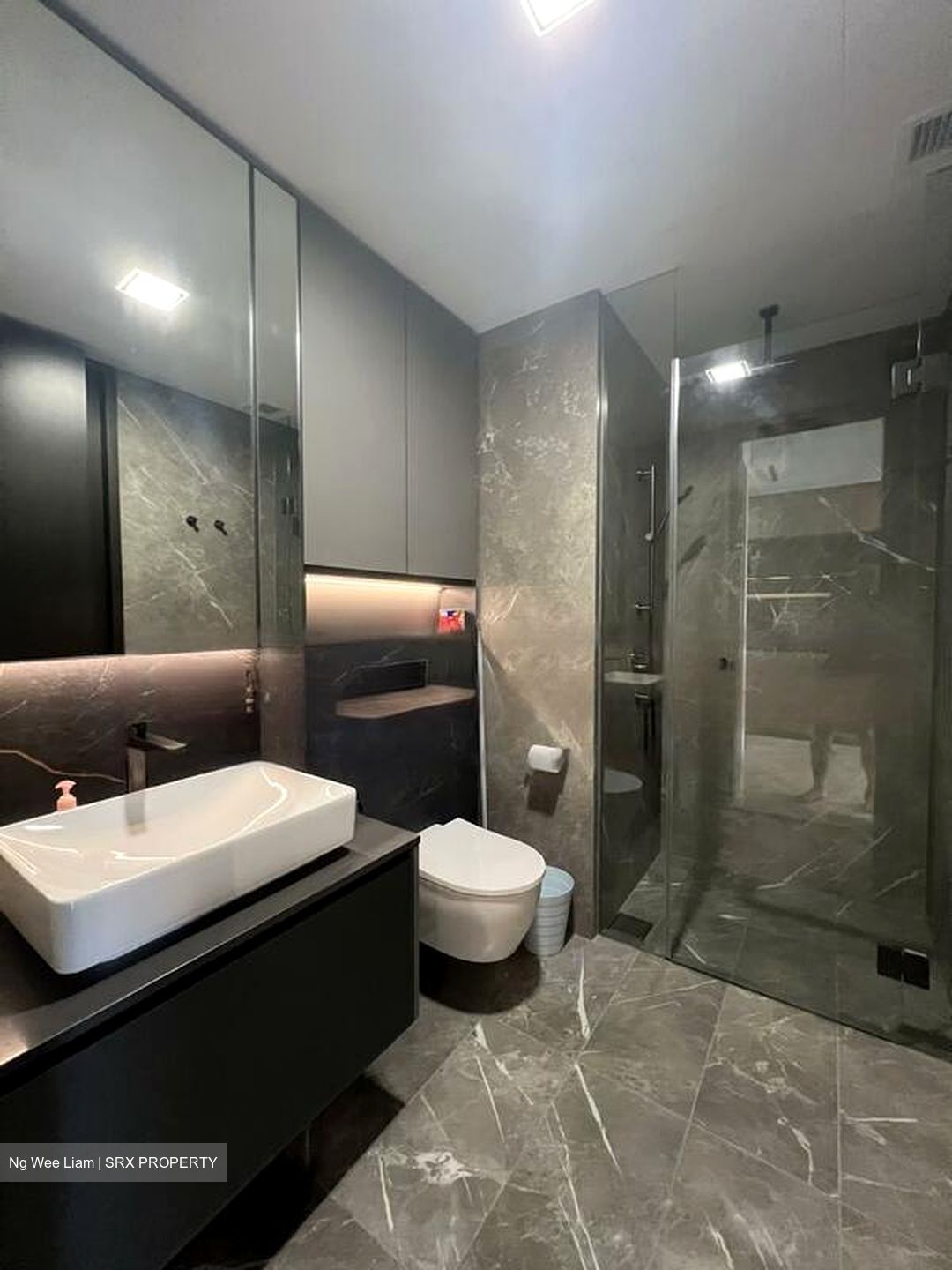 Irwell Hill Residences (D9), Apartment #478256931